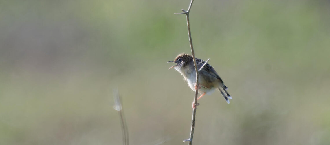 Manque pas d&rsquo;air !