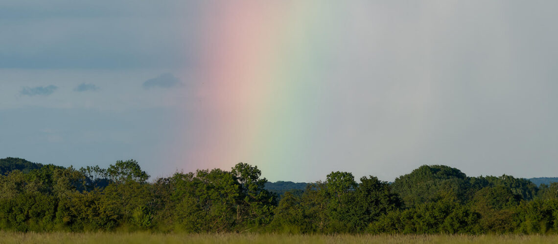 Les couleurs du printemps