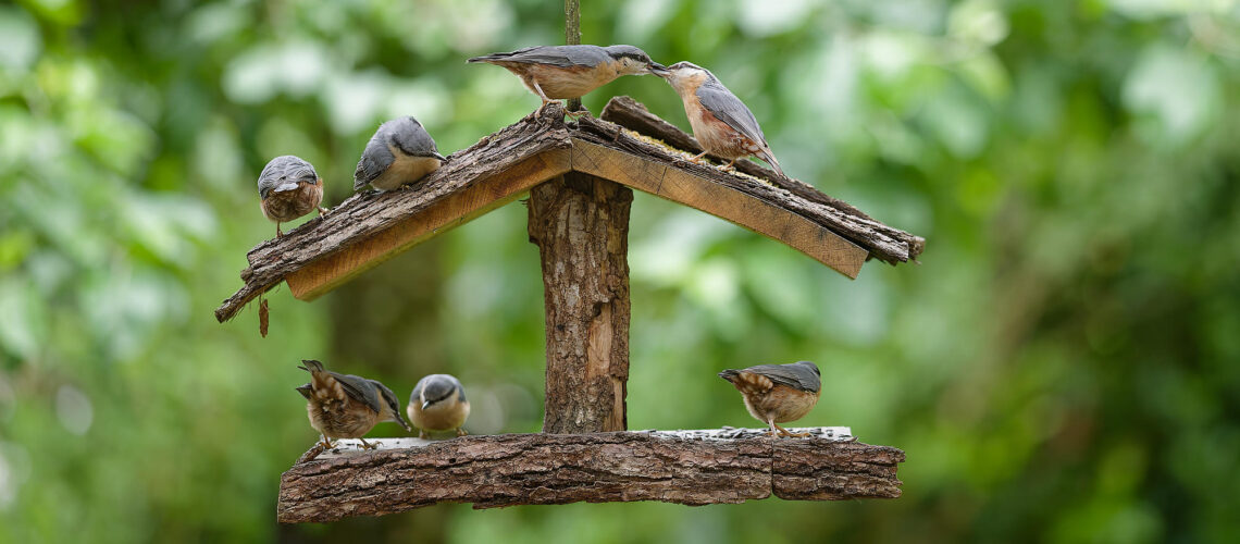 Famille nombreuse