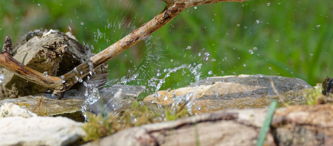 Acqua veloce